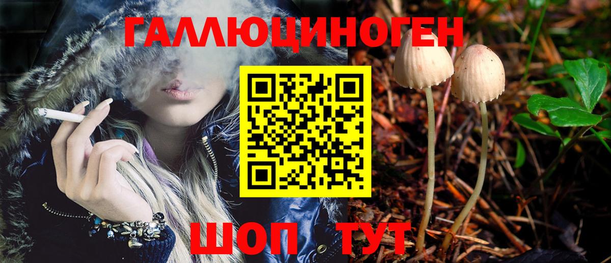 Псилоцибиновые грибы Magic Shrooms  Вход с VPN  Кингисепп 