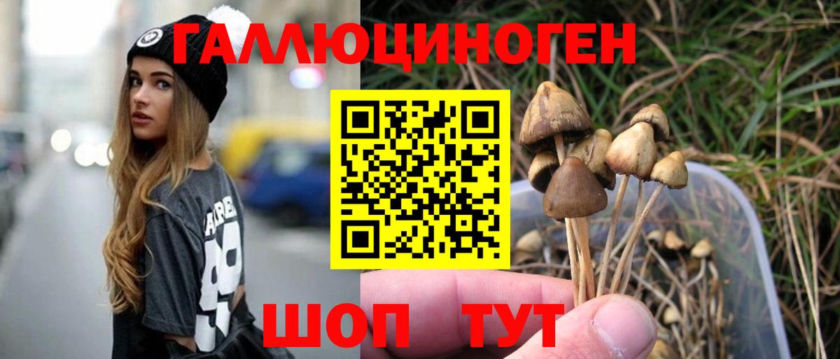Галлюциногенные грибы Magic Shrooms Кингисепп